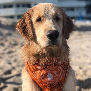 Meet your Posher, Erich